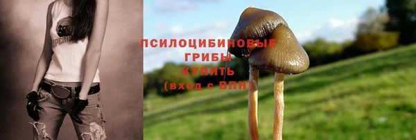 мефедрон мука Нязепетровск