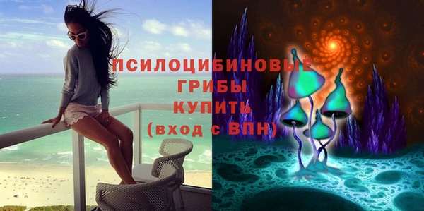 2c-b Новозыбков