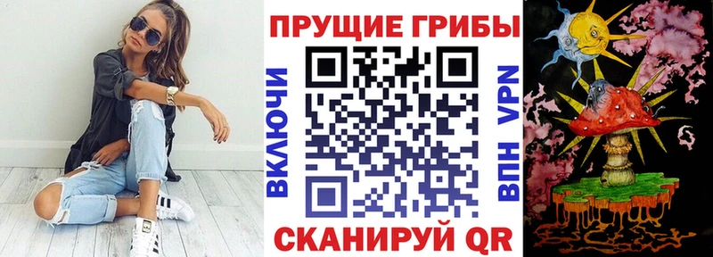 Галлюциногенные грибы прущие грибы  Куртамыш 